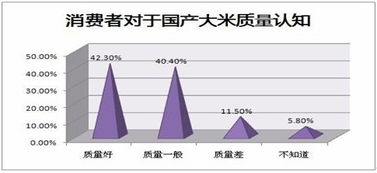 袁禾大米长沙市场营销策划方案